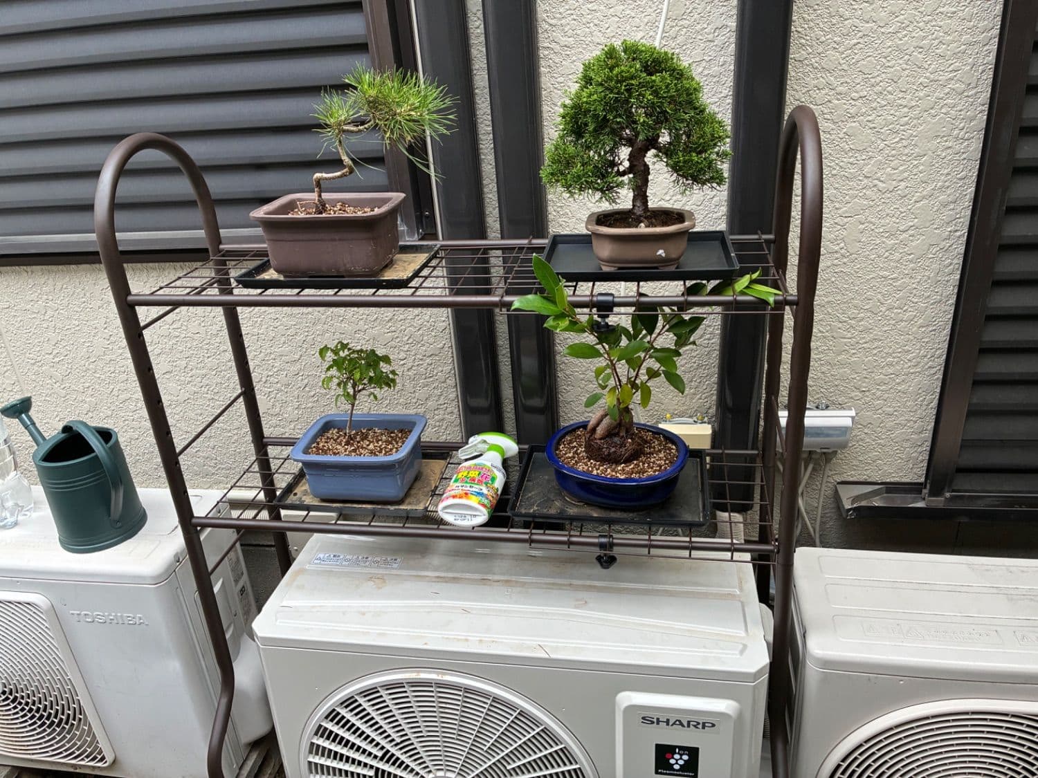 ヘッダー画像